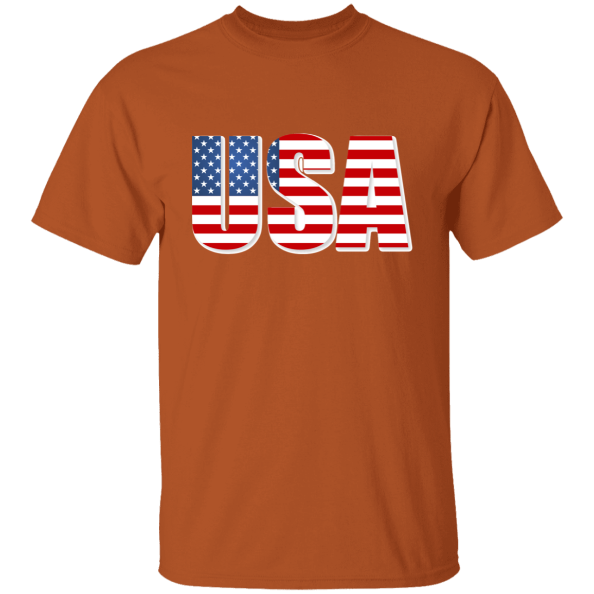 Mens T-Shirt | USA in Flag Letters