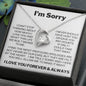 I'M SORRY | FOREVER LOVE HEART NECKLACE